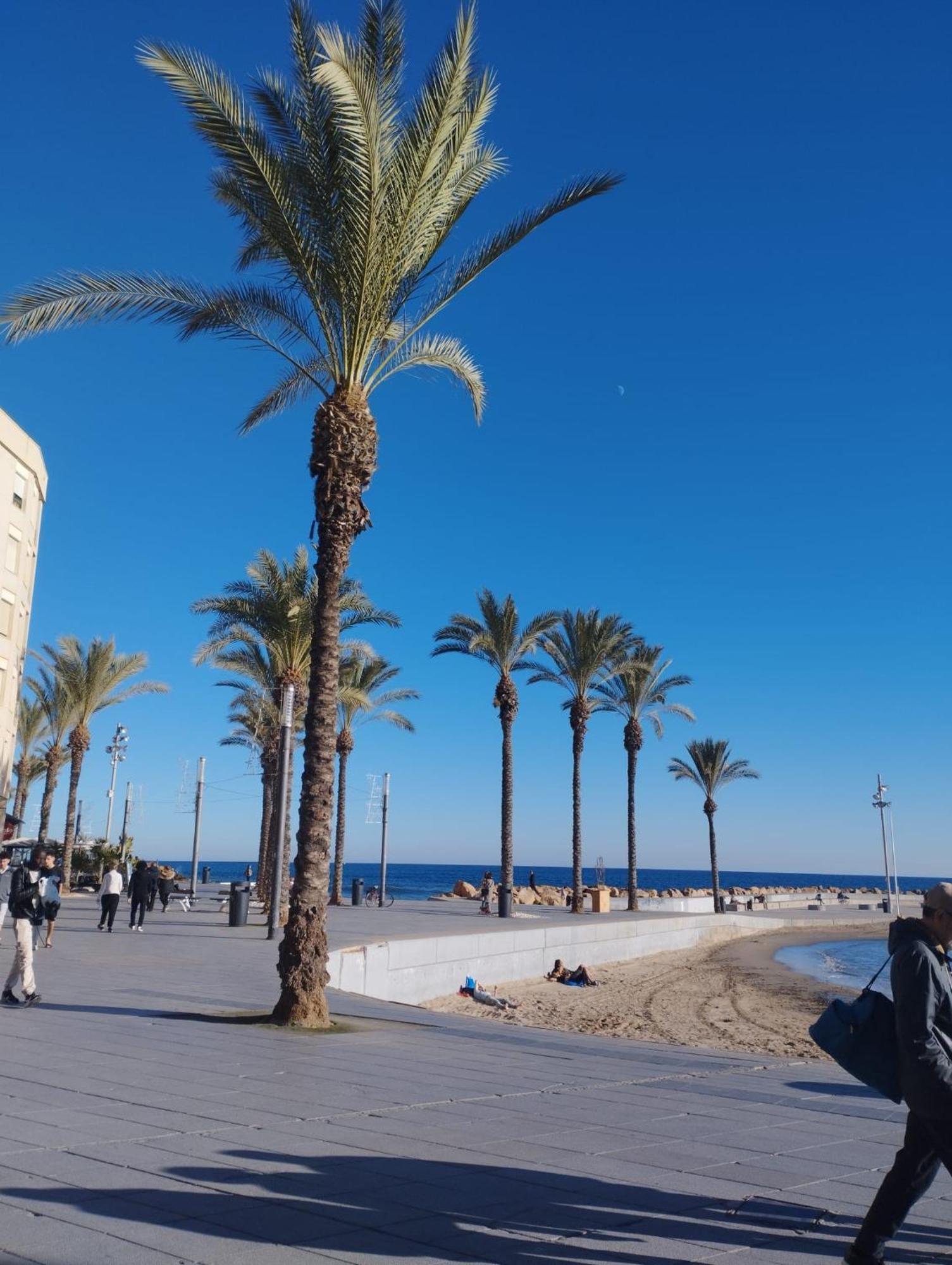 Просторная Квартира Рядом С Морем В Хорошем Районе Lägenhet Torrevieja Exteriör bild